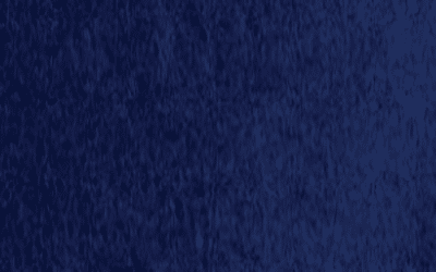 Feutre de col couleur 23