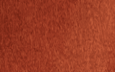 Feutre de col couleur 77